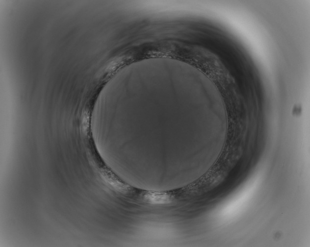 X0000097300767200803141532