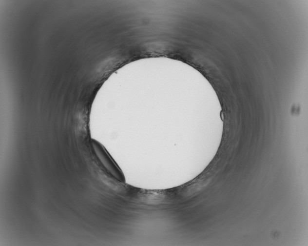 X0000097300768200803141532