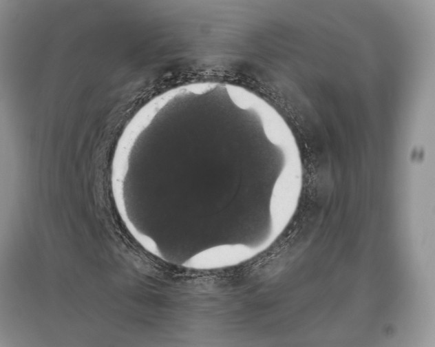 X0000097300769200803141531