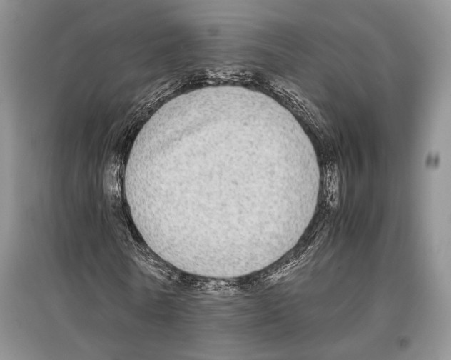 X0000097300770200803141531