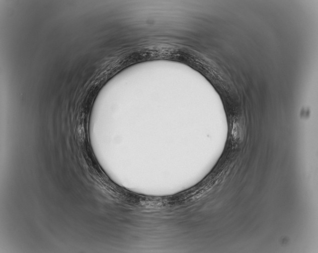 X0000097300771200803141531