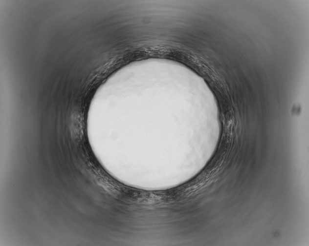 X0000097300772200803141531