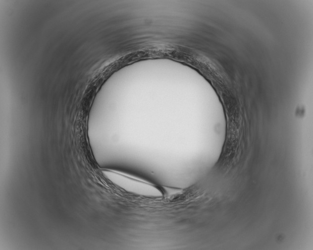 X0000097300773200803141531