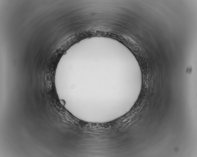 X0000097300774200803141531
