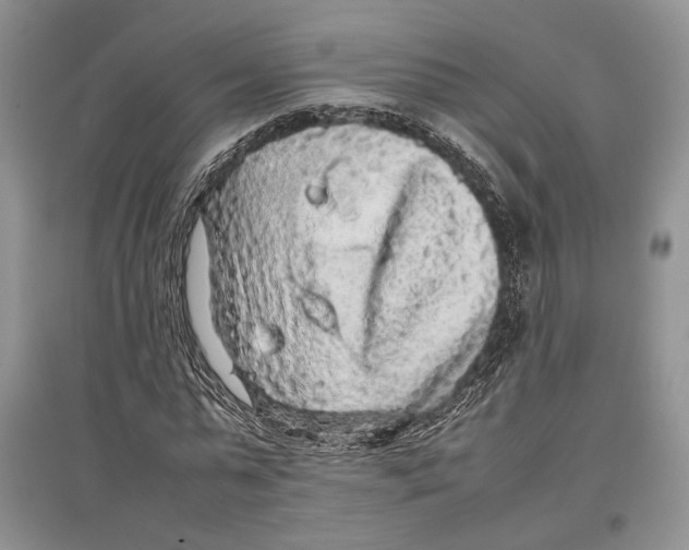 X0000097300775200803141531
