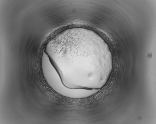 X0000097300776200803141531