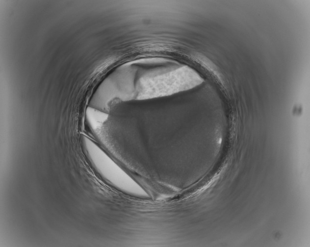 X0000097300777200803141531