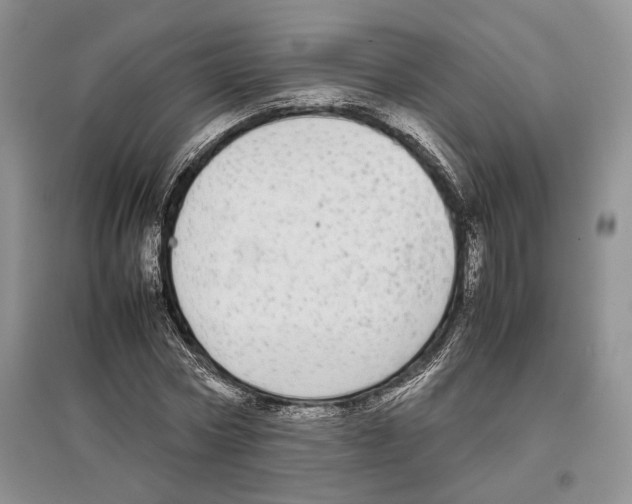 X0000097300778200803141531