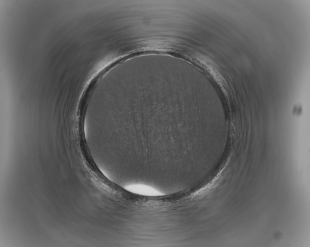 X0000097300779200803141531