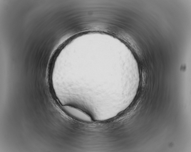X0000097300780200803141531