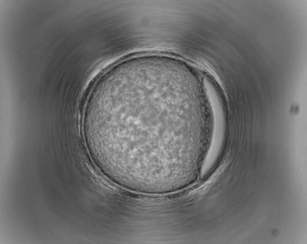 X0000097300781200803141531