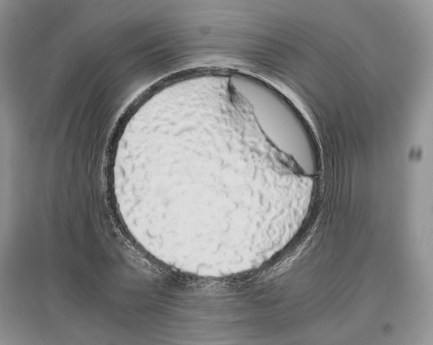 X0000097300783200803141531