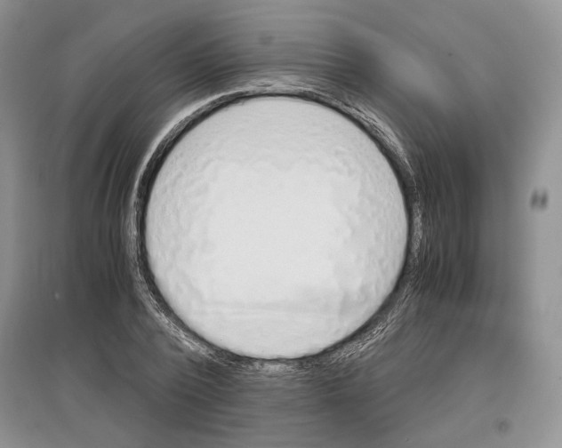 X0000097300784200803141531