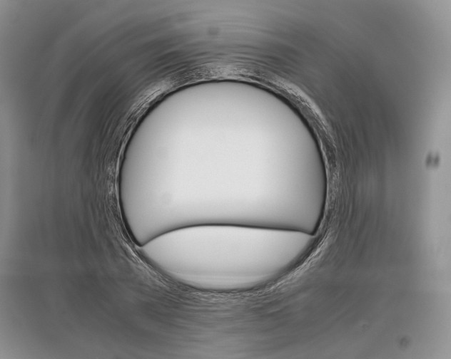 X0000097300785200803141531
