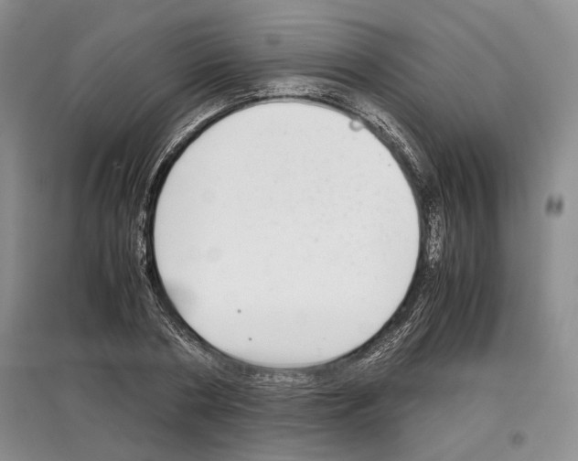 X0000097300786200803141531