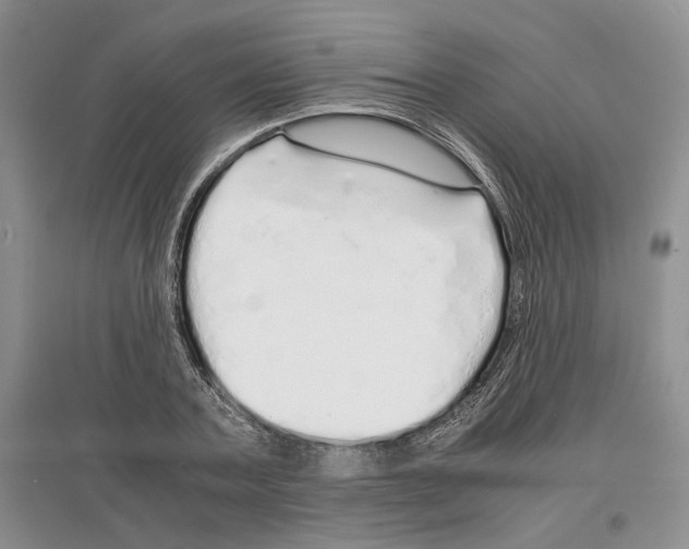 X0000097300787200803141531