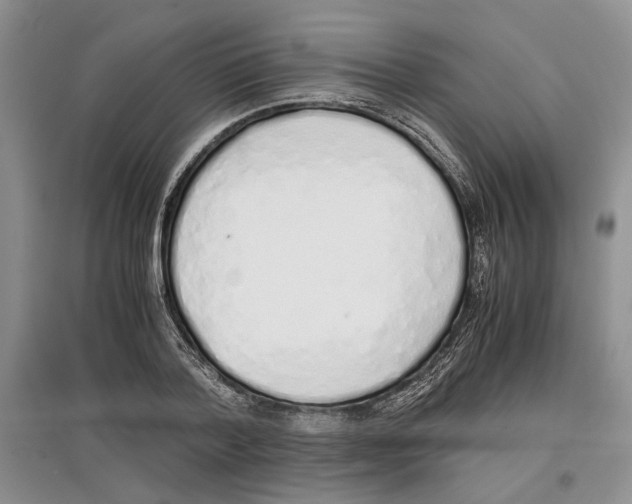 X0000097300788200803141531