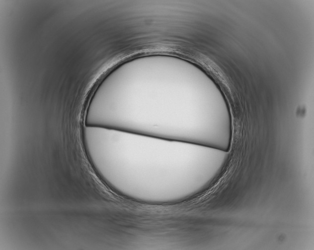 X0000097300789200803141531