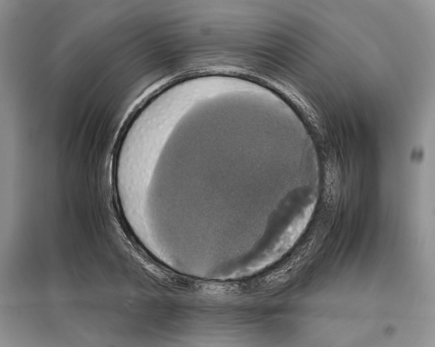 X0000097300790200803141531