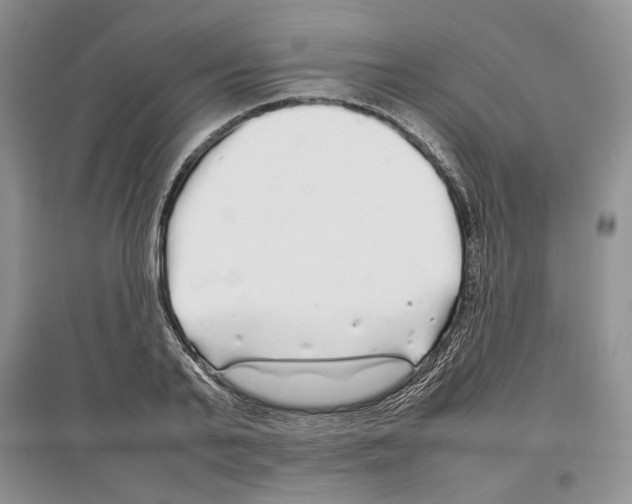 X0000097300791200803141531