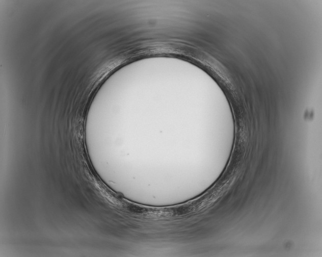 X0000097300793200803141531