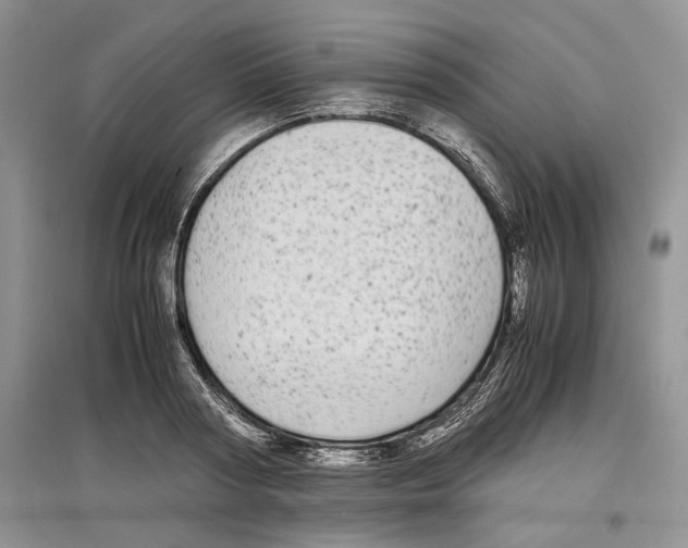 X0000097300794200803141531