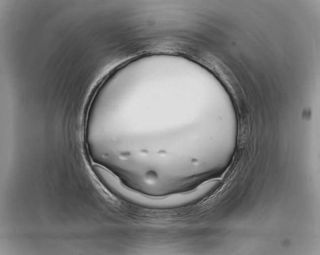 X0000097300795200803141531