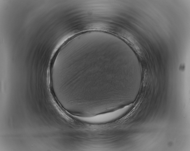 X0000097300796200803141531