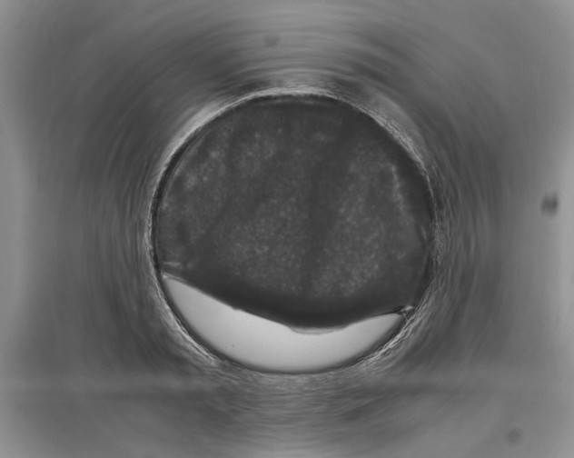 X0000097300797200803141531