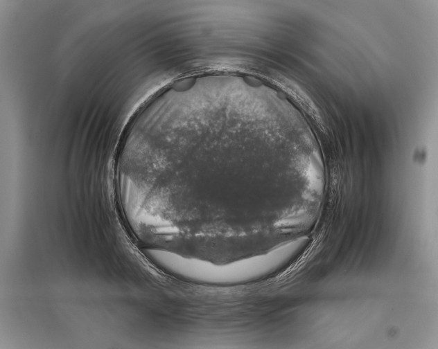 X0000097300798200803141531