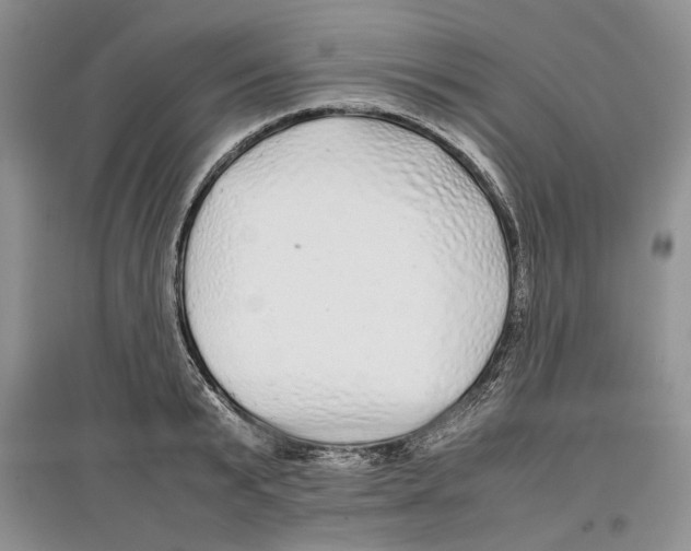 X0000097300799200803141531