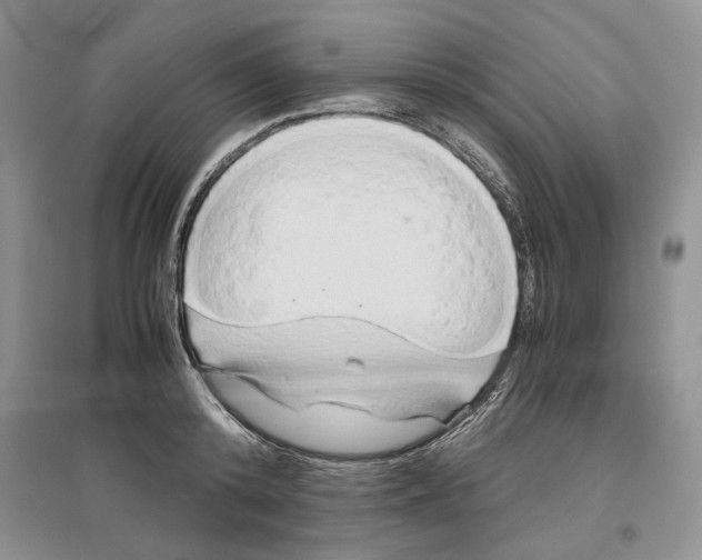 X0000097300800200803141531
