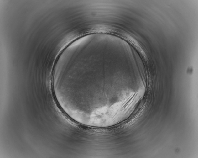 X0000097300802200803141531