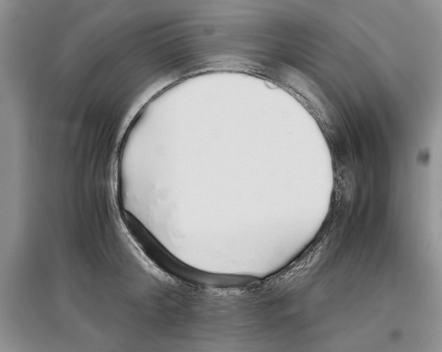 X0000097300804200803141531
