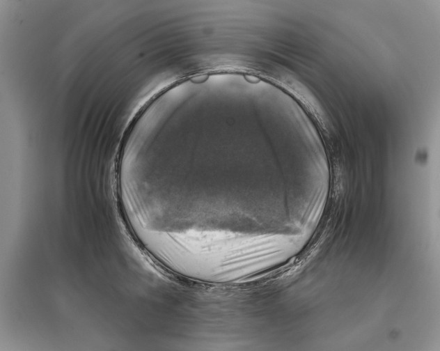 X0000097300806200803141531