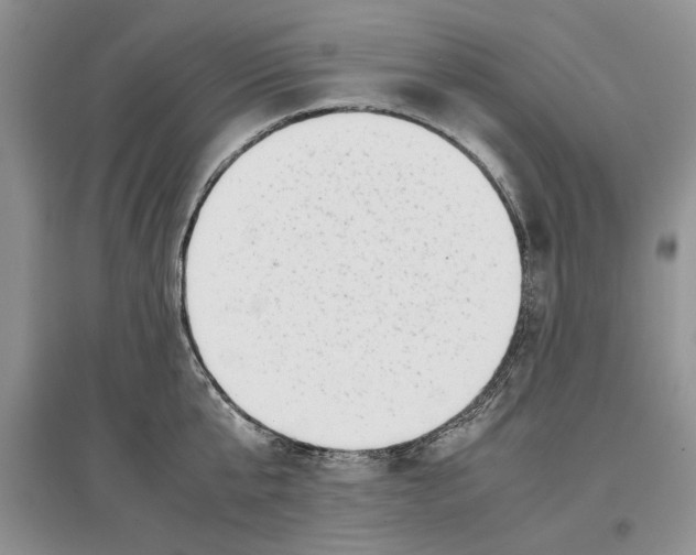 X0000097300807200803141531