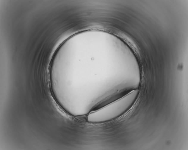 X0000097300808200803141531