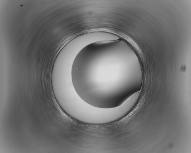 X0000097300809200803141531