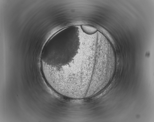 X0000097300810200803141531