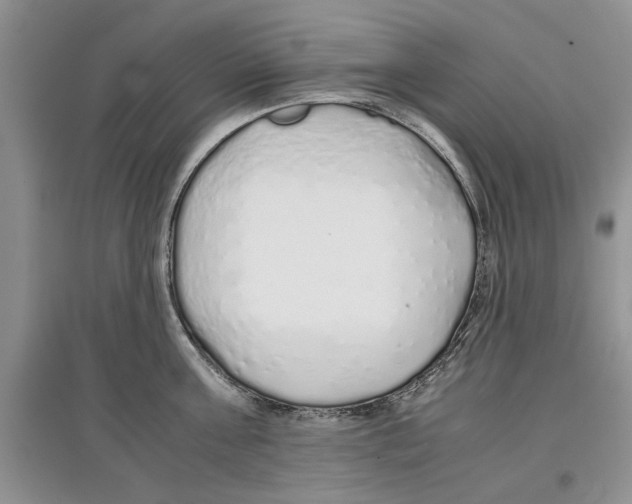 X0000097300811200803141531
