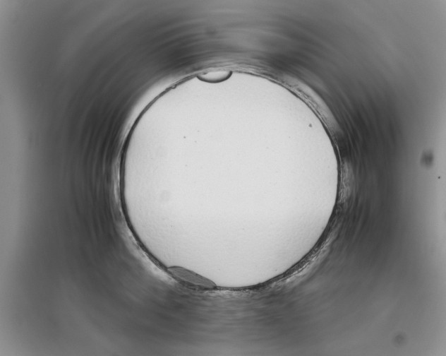 X0000097300812200803141531