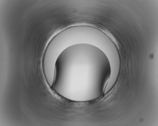 X0000097300813200803141531