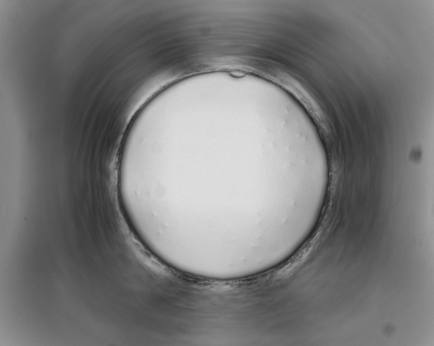 X0000097300814200803141531