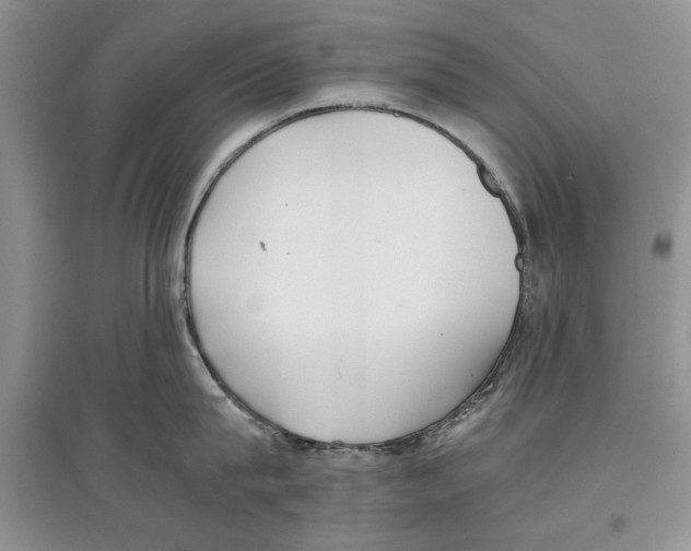 X0000097300815200803141531