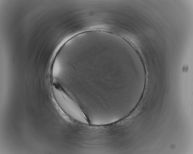 X0000097300816200803141531