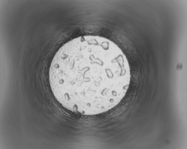 X0000097300817200803141530