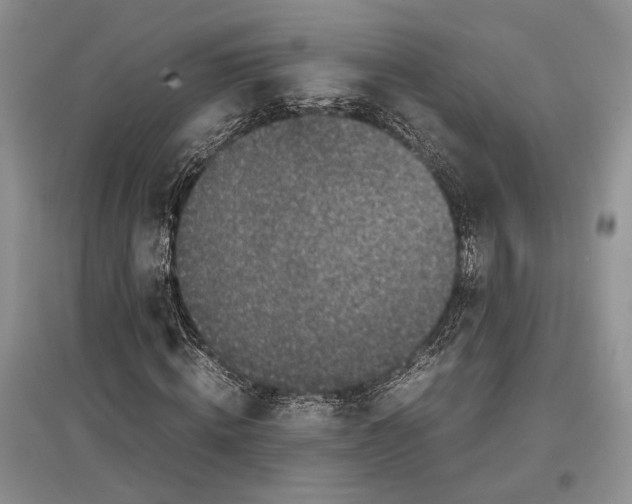 X0000097300820200803141530