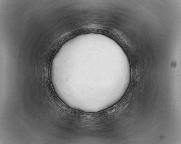 X0000097300821200803141530