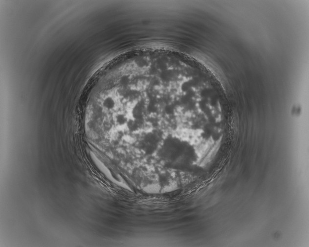 X0000097300823200803141530