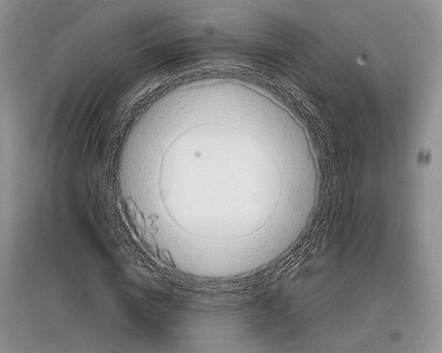 X0000097300824200803141530